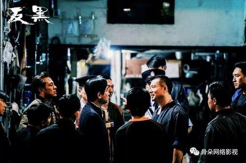 陈小春反黑在线观看,热血警探的正义之战